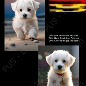 Hundeportraits Vol. 3 - White Dog Edition. 30 Wundervolle Hundeportraits.