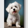Hundeportraits Vol. 3 - White Dog Edition. 30 Wundervolle Hundeportraits. – Bild 2