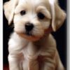Hundeportraits Vol. 3 - White Dog Edition. 30 Wundervolle Hundeportraits. – Bild 4