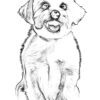 Hundeportraits Vol. 3 - White Dog Edition. 30 Wundervolle Hundeportraits. – Bild 6